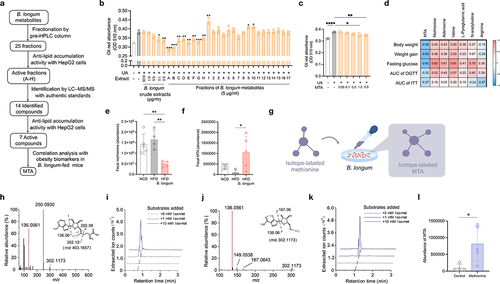 Figure 2. Identification of bioactive metabolite from B. longum.