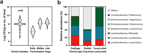 Figure 2. The abundance and taxonomic profile of LAB present in kimchi.(a) LAB viable cell count in kimchi. Data were selected based on the following criteria: selection of control among various groups, selection of maximum value among fluctuated numbers during fermentation, and selection of shown numbers in graph result in rounded down values. (b) The relative abundance of LAB (genus level) present in the three most widely consumed kimchi types (cabbage kimchi, radish kimchi, and young radish kimchi).