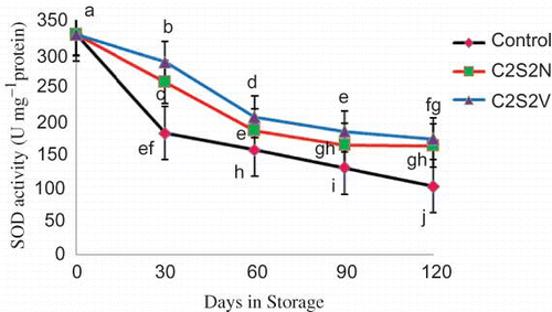 FIGURE 6 Effect of 2% CaCl2 in combination with 2 mM spermidine by normal dip and vacuum infiltration methods on changes in SOD activity of pomegranate fruit during storage at 2°C. Each value is the mean of three replicate samples ±S.E. Values labeled with the same letters are not different at the 5% level (color figure available online).