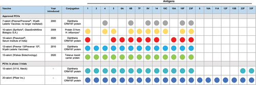 Figure 1. Current and investigational pneumococcal conjugate vaccines (not exhaustive). *For Synflorix® (10-valent PCV), serotype 18C is conjugated to tetanus toxoid and serotype 19F is conjugated to diphtheria toxoid; the remaining eight serotypes are conjugated to protein D from H. influenzae. Abbreviation: PCV, pneumococcal conjugate vaccine.