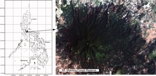 Figure 1. (Color version available online) Location of the Mt. Makiling Forest Reserve, Philippines (composite image of red, green, and blue bands).
