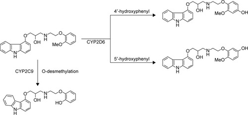 Figure 1 Structure of the analytes and metabolic pathway of carvedilol.