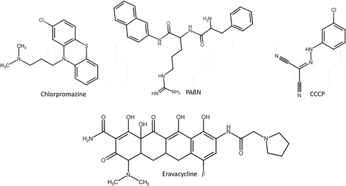Figure 9. Synthetic efflux pump inhibitors reported to overcome resistance in S. aureus, K. pneumoniae, A. baumannii and P. aeruginosa. Cyanide 3-chlorophenylhydrazone (CCCP) and chlorpromazine are specific NorA efflux pump inhibitors of S. aureus. Phenylalanine arginine β-naphthylamide (PAβN) is specific to AcrAB efflux pump of K. pneumoniae and AdeABC efflux pump of A. baumannii. Tetracycline based eravacycline antibiotic is specific to AdeJ efflux pump of A. baumannii. Chlorpromazine is specific to MexAB-Oprm efflux pump of P. aeruginosa.