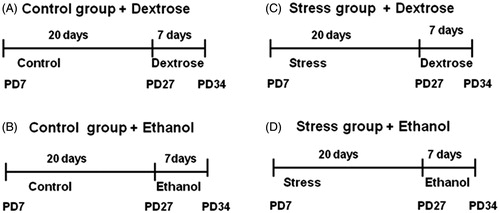 Figure 1. Experimental design. Postnatal stress or no disturbance (Control) from postnatal days (PD) 7–27. From PD 27–34 given to drink either: water, and dextrose: 1% solution (g/100 ml); or water, and ethanol: 6% solution (g/100 ml).