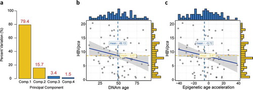 Figure 2. Construction of HBVpca, and its association with DNAm age or epigenetic age acceleration. (a) Barplot demonstrates that the first and second principal components covered almost all the variations with a summing percentage of 95.1%. Significant negative correlations between HBVpca and either DNAm age or epigenetic age acceleration are shown in (b) and (c), respectively