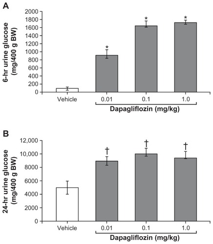 Figure 3 Single oral doses of dapagliflozin were demonstrated to stimulate an increase in urinary glucose excretion in Zucker diabetic fatty rats (A) over 6 hours, and (B) 24 hours post dose.