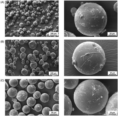 Figure 1. The SEM images of (A) ASM-PLGA-ESE, (B) ASM-PLGA-SPG, (C) ASM-PLGA-M.