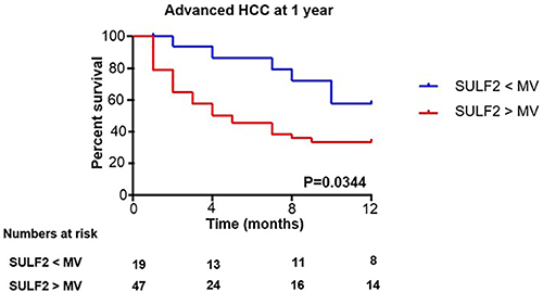 Figure 4 Overall survival in patients with advanced HCC according to serum levels of SULF2. Analysis of patients only with advanced HCC (n= 66). The median level of serum SULF2 serves to segregate patients for this one-year follow-up: low levels of serum SULF2 (< 65.2 ng/mL) versus high levels of serum SULF2 (> 65.2 ng/mL). The Kaplan–Meier method was used to estimate overall survival for level of SULF2 and compared using the log rank test. Numbers at risk are shown under the x-axis.