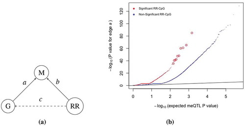 Figure 3. RR-CpGs are enriched for CpGs with meQTLs. (a) Illustration of the causal relationship between the DNAm (m) at a CpG site, the genotype (g) at the SNP within ±5kb of the CpG that had the smallest meQTL P value and self-reported race (RR). Each graph corresponds to a unique CpG. (b) Plots of the meQTL P value for edge a in CBMCs at birth, where CpGs were stratified by whether or not it was an RR-CpG (cong≥0.8 or disg≥0.8). The ten enlarged red circles are just for visual aid