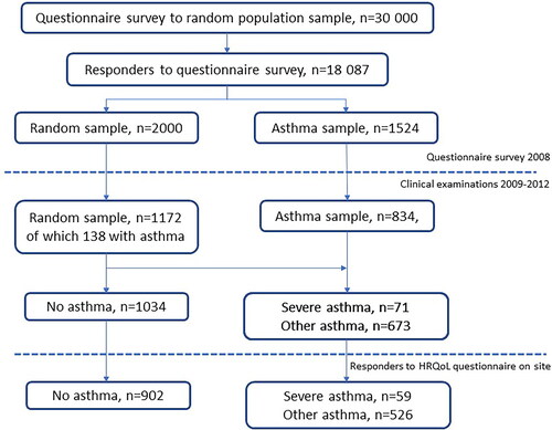 Figure 1. Study set-up.