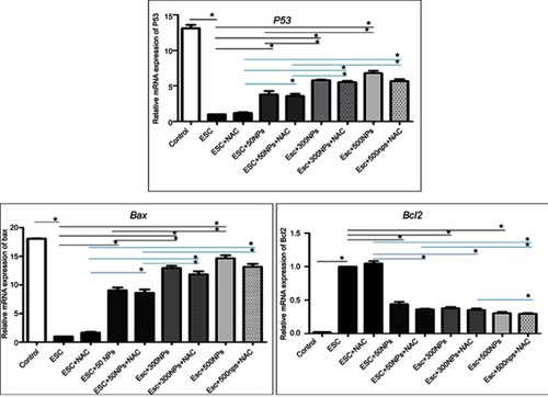 Figure 9 The relative mRNA expression of apoptosis-related genes (P53, Bax and Bcl2) in all treated groups determined by q-PCR. Data expressed relative to the housekeeping gene Gapdh, normalized to the control group. The data represent the mean±SE (n=5). *Significant difference (P<0.05).