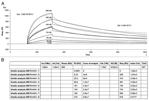 Figure 4 Biacore analysis. The scFv was injected at various concentrations as indicated by different lines.