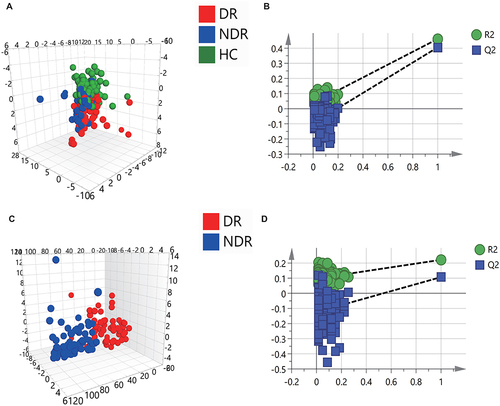 Figure 2 Metabolomic profiling by targeted metabolomics. (A) OPLS−DA 3D models among HC, NDR, and DR groups. R2X = 0.468, R2Y = 0.310, and Q2Y = 0.253. (B) The 200−permutation test demonstrated no overfitting in the OPLS-DA model [Q2 = (0.0, –0.098)]. (C) OPLS−DA 3D models between NDR and DR groups. R2X = 0.404, R2Y = 0.221, and Q2Y = 0.107. (D) The 200−permutation test demonstrated no overfitting in the OPLS-DA model [Q2 = (0.0, –0.125)].