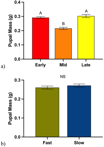 Figure 5. A) mean pupal mass after larvae were exposed to various soybean growth stages for 48 hours. Different letters denote significant differences in mean mass as determined by post hoc analysis using Tukey’s test (p=.001). B) mean pupal mass after larvae were exposed to either fast or slow wilting genotypes for 48 hours. Different letters denote significant differences in mean mass as determined by post hoc analysis using student t-test (p=.334).