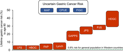 Figure 1 Cumulative gastric cancer risk of hereditary gastric cancer risk syndromes.