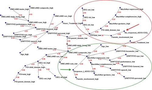 Figure 1 Semantic connectivity map obtained with Auto-Cm System.