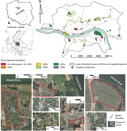 Figure 1. Toruń, allotment garden complexes and study site location.