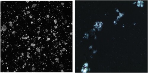 Figure 3. Polarized light images: (a) Visual obstruction through residual CaCO3 crystals; (b).
