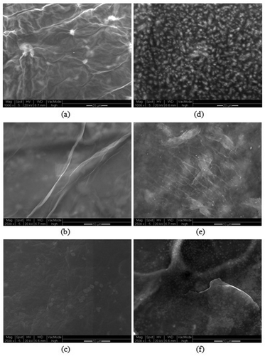 Figure 10. SEM images of graphene oxide (GO) and SDS-modified graphene oxide (GO-SDS) before and after the adsorption of Ni(II) ions. (a, b) GO; (c) GO-Ni; (d, e) GO-SDS; (f) GO-SDS-Ni. The scale bar in (a) and (d) is 20 µm and in (b), (c), (e) and (f) is 10 µm.