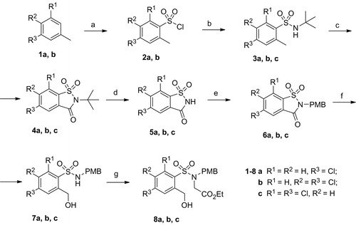 Scheme 1. Synthesis route to compounds 8a, b, c. Reagents and conditions: (a) SOCl2, ClSO3H, 0 °C – r.t.; (b) t-BuNH2, Et3N, CH2Cl2; (c) H5IO6, CrO3, (CH3CO)2O, MeCN, 0 °C – r.t.; (d) TFA; (e) PMBCl, NaH, DMF, 80 °C; (f) NaBH4, THF/H2O; (g) NaH, ethyl bromoacetate, THF, 50 °C.