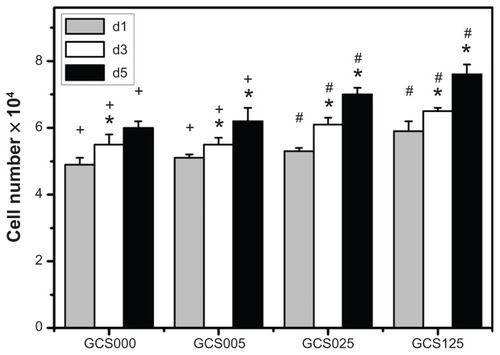 Figure 10 Total cell number on various chondroitin-4-sulfate-modified porous gelatin scaffolds (GCS000, GCS005, GCS025, and GCS125). after rabbit corneal keratocyte seeding for 1, 3, and 5 days (d1, d3, and d5, respectively).Notes: An asterisk indicates statistically significant differences (*P < 0.05; n = 4) for the mean value of total cell number compared with value at previous time point; #P < 0.05 versus all groups; +P < 0.05 versus GCS025 and GCS125 groups (compared only within each time point group); scaffold groups labeled according to chondroitin-4-sulfate concentration used (0%, 0.05%, 0.25%, or 1.25% (w/v)): GCS000, GCS005, GCS025, and GCS125.