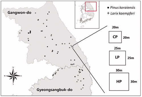 Figure 1. Study area location map of the permanent plots for Pinus koraiensis and Larix kaempferi and plot design.