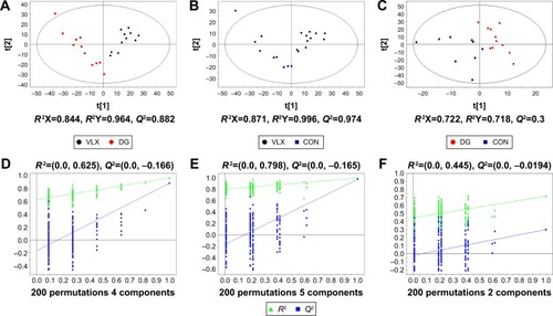 Figure 3 PLS-DA is a supervised analysis method. In the supervised PLS-DA, R2Y and Q2 are the two important parameters. Q2 >0.5 indicates that the model performs well in discriminant analysis.