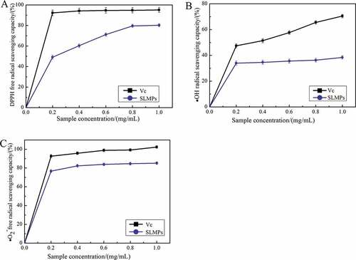 Figure 7. Scavenging effect of SLMPs on (A) DPPH· radicals compared with VC, (B) ·OH radicals compared with VC and (C) ·O2− radicals compared with VC.
