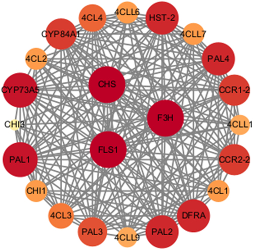 Figure 9. Protein-protein interactions network for GbPAL based on their orthologs in A. thaliana.