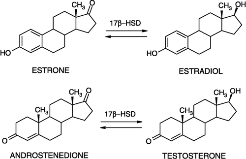 Figure 1 Reactions catalyzed by 17β-hydroxysteroid dehydrogenases.
