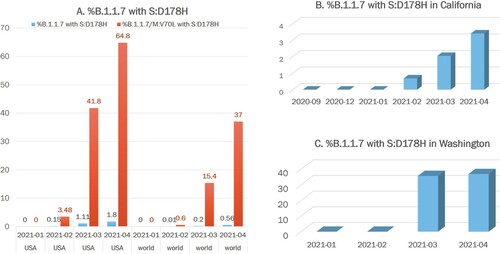 Figure 2. Prevalence of the B.1.1.7 sub-lineage carrying mutation S:D178H Globally, US, Washington, and California. (A) Percentages of B.1.1.7 (blue) or B.1.1.7-M:V70L (orange) isolates that carried the S:D178H mutation from January to April 2021 in US and globally, respectively. (B) Percentages of B.1.1.7 isolates that carried the S:D178H mutation from September 2020 to April 2021 in California. (C) Percentages of B.1.1.7 isolates that carried the S:D178H mutation from January 2021 to April 2021 in Washington.