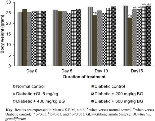 Figure 2 Effect of Becium grandiflorum on body weight of mice.