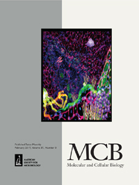 Cover image for Molecular and Cellular Biology, Volume 37, Issue 3, 2017