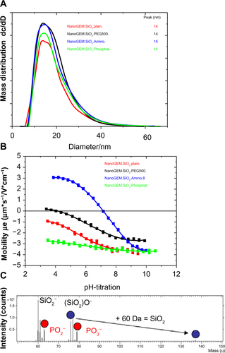 Figure S3 Physical-chemical characterization.Notes: (A) Size distributions by analytical ultracentrifugation (AUC), plotted as differential distribution of concentration dc per diameter interval dD. The area under the curve is proportional to the mass within this diameter range; (B) Surface charge by electrophoretic mobility with pH titration; (C) Surface chemistry by SIMS (SiO2-P), showing in the top 1nm layer of the particles both the added PO3 functionality and the intrinsic SiO2 fragments of the intrinsic surface chemistry.Abbreviations: SiO2, silicon dioxide; SiO2-NH2, amino-coated SiO2; SiO2-P, phosphate-coated SiO2; SiO2-PEG, PEGylated SiO2; PEG, polyethylene glycol; dC/dD, distribution of concentration per diameter interval.