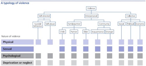 Figure 1 A typology of violence.Citation4,Citation5