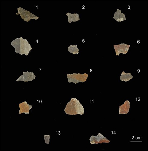 Figure 1. Medieval painted fragments selected for non-invasive and microinvasive analysis. The description is reported in Table 2.
