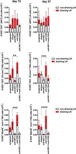 Figure 3. NKT cell and NK cell expansion in draining pLNs during the course of graft rejection in both CD8 T cell replete and CD8 T cell-depleted recipients.Non-draining and draining axillary and brachial pLN from each experimental group of bm1 skin-grafted B6 recipients were collected at two time points after transplantation. The absolute number of NKT (DX5+CD3+) cells, non-T NK cells (DX5+CD3− cells and DX5+NKp46+ cells) was quantified at day 13 (left side panel) and day 21 (right side panel) post-Tx. Results are displayed as mean ± SD. Statistical significance and p value was calculated using unpaired Student’s t test for the comparison of means between draining versus non-draining pLN in each experimental group. One way ANOVA was applied for the comparison of means among experimental groups within non-draining or draining pLNs. The following criterion of statistical significance was used: *, p < 0.05; **, p < 0.005; ***, p < 0.0005. These plots display data pooled from three independent experiments with three mice per group.