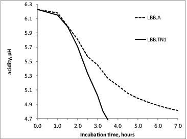 Figure 5. Typical acidification curve of fast-acidifying S. thermophilus strains, here represented by LBB.TN1, compared to a control industrial S. thermophilus strain LBB.A.