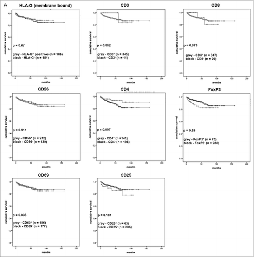 Figure 5. Correlation between the presence or absence of TILs and the HLA-G expression with disease-specific survival of the patients visualized as Kaplan–Meier-Plots. Kaplan–Meier-Plots of disease-specific survival in relation to HLA-G expression and tumor-infiltrating lymphocytes. The presence of CD4+ cells was associated (but not significant; p = 0.097) with better disease-specific survival. The markers HLA-G, CD3, CD8, CD56, CD4, FOXP3, CD 69 and CD 25 showed no significant correlation to disease-specific survival.