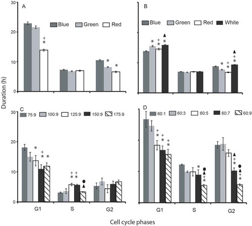 Fig. 5. Cell cycle phase duration compared in different experimental treatments. (A) Experiment 1; cells were grown in different nutrient concentrations (with a fixed N:P ratio) under varying light environments. (B) Experiment 2; cells were grown in a fixed nutrient concentration under varying light conditions. Experiment 3; cells were maintained in different nitrate and phosphate concentrations (with different N:P ratios) under white light condition (C – nitrate variations; D – phosphate variations). Symbols are as for Fig. 4.