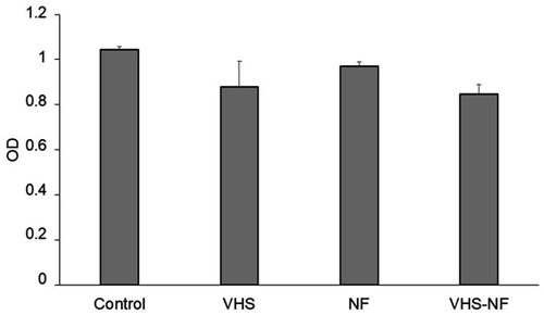 Figure 8 Bioavailability (OD) evaluated for VHS (1.2 mg/mL), NF (0.1 mg/mL) and VHS-NF (VHS: 1.2 mg/mL and NF 0.1 mg/mL) compared to the control (growth medium, standard growth conditions) (mean values ± s.d.; n=8) (Statistical analysis W test: control vs VHS-NF: p=0.030).Abbreviations: NF, norfloxacin; VHS, montmorillonite; VHS-NF, montmorillonite/norfloxacin nanocomposite.