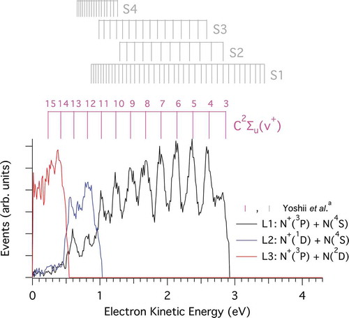 Figure 6. Number of dissociation events towards the three available limits, L1 (black), L2 (blue) and L3 (red), recorded at hv = 27.2 eV as a function of the electron kinetic energy. The relative intensity of the curves corresponds to the branching ratios to the three dissociation limits. The positions of the N2+(C2∑u+) vibrational levels from Yoshii et al. [Citation75] are marked in magenta, as well as four different progressions in gray S1(22Πg), S2(2∑u−), S3(2Δu) and S4(2Πu) from the same reference