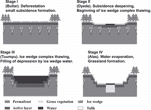 Figure 1 Stages of thermokarst formation in Central Yakutia (after Bosikov 1991). The main feature of this region is the underground ice-wedge complex.
