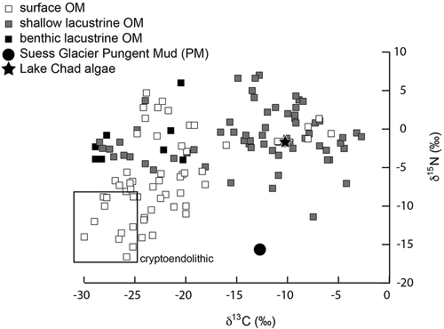 Figure 3. The ratio of δ13C to δ15N for the PM sample and Lake Chad algae sample relative to previously reported values for OM in the McMurdo Dry Valleys (Burkins et al. Citation2000; Lawson et al. Citation2004; Wharton, Lyons, and DesMarais Citation1993). The most strongly depleted δ15N values are associated with OM that is associated with terrestrial cryptoendolithic communities (Burkins et al. Citation2000)