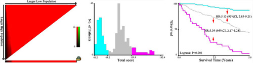 Figure 2 Results of using X-tile analysis by total risk score calculated by the nomogram scoring system in the training cohort.