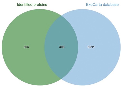 Figure 1 The relationship between identified proteins and Exocarta database.