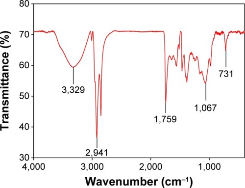 Figure 5 FTIR spectra of AgNPs synthesized using tuber extract.Abbreviations: FTIR, Fourier transform infrared spectroscopy; AgNPs, silver nanoparticles.