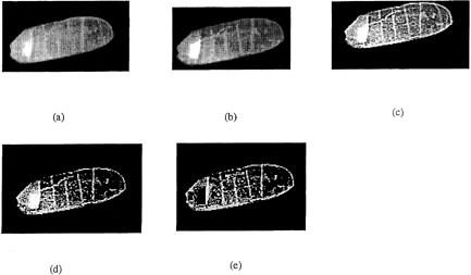 Figure 4. Image representing the classification of stress fissures in long grain rice images: (a) raw image; (b) image after gamma correction; (c) image after high pass filtering; (d) image after contrast adjustment; and (e) image after regional filtering.