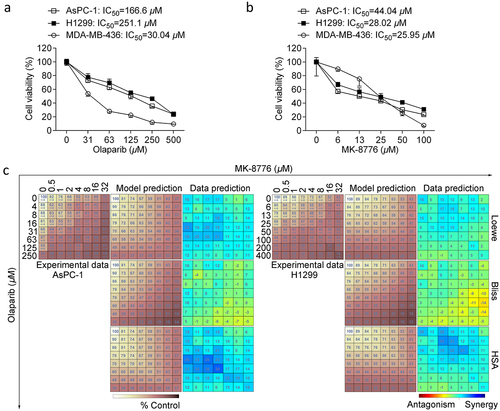 Figure 1. Sub-IC50 concentrations of olaparib and Chk1 inhibitor MK-8776 generate synergy targeting two p53-deficient cancer cells. (a) Cell viability was determined by MTT assay in AsPC-1, H1299 and MDA-MB-231 cells treated with indicated concentrations of (A) olaparib (0, 31.2, 62.5, 125, 250 or 500 μM) or (b) MK-8776 (0, 6.2, 12.5, 25, 50 or 100 μM) for 72 h. (C) AsPC-1 and H1299 cells were incubated with MK-8776 (x axis) and olaparib (y axis) in an 8 × 8 concentration checkerboard format for 72 h. Cell viability was determined by MTT assay. The experiment data (left panel, values were relative cell viability compared with control) were analyzed and calculated with Combenefit software using three synergy models (Loewe, Bliss and Highest Single Agent, HSA). The predicted data were subtracted from the experimental data, yielding a final difference value for each combination. The greater a difference value was, the more synergistic that particular combination was.