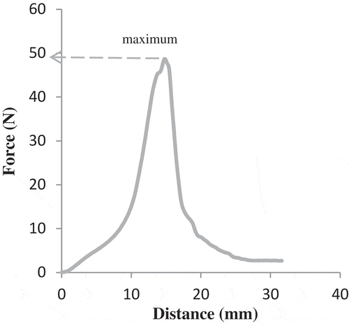 Figure 1. Typical curve obtained from puncture test of bread.